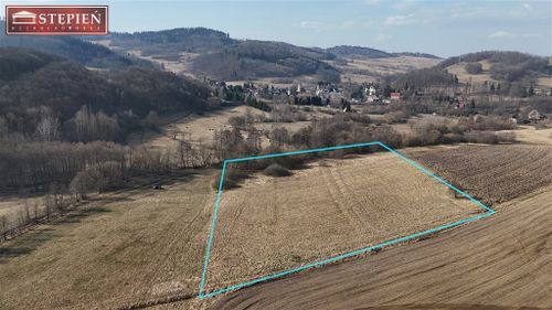 Pakiet inwestycyjny: 2,95ha kaczorów