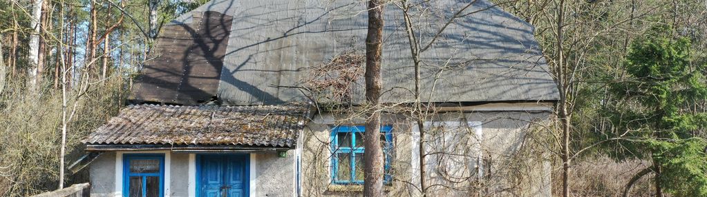 Na sprzedaż siedlisko w miejscowości szafranki – 4,444 ha