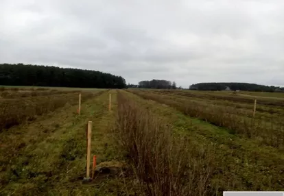 Działka na sprzedaż 3100m2