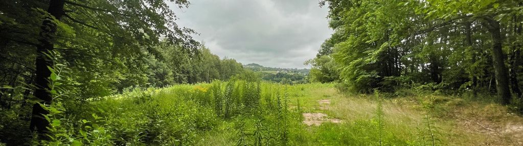 Działka w zawadzie na sprzedaż!