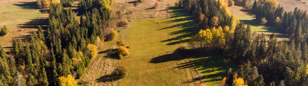 Działka w białym dunajcu gile