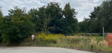 Działka z dużym potencjałem