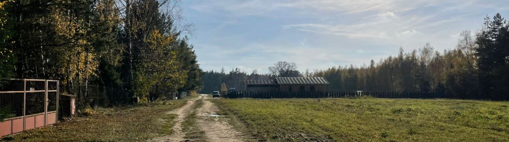 Leśna oaza – spokój, natura, twój dom