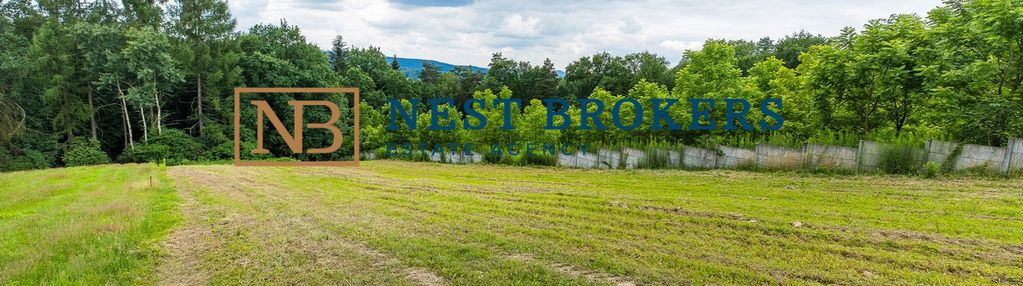 Działka widokowa koło lasu