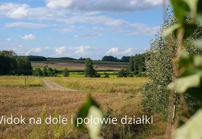 Zadrzewiona działka w otoczeniu lasów i pól