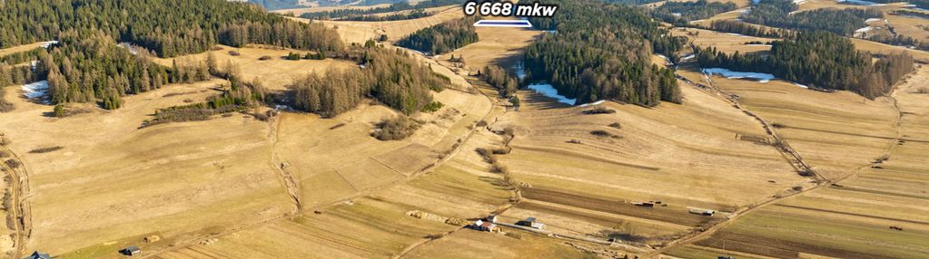 Szukasz lokaty kapitału w sąsiedztwie lasu?