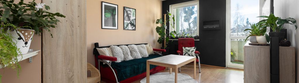 3 pokoje i niska zabudowa i kokoszki