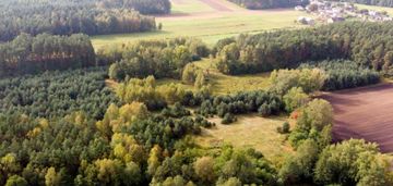 8ha w lesie pod stadninę koni agroturystykę