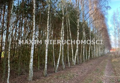 Działki w latonicach gm nowe miasto