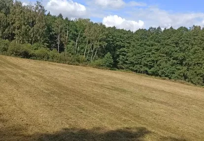 Działka na sprzedaż 7972m2