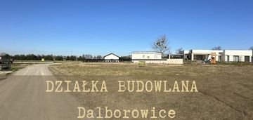 Działka w dalborowicach-55zł/m2