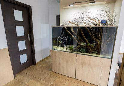 Przestronne m5 na wyżynach