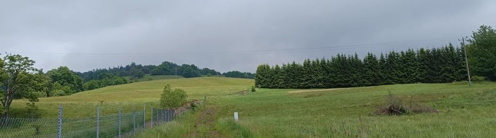 Kameralne miejsce z przyłączem  elektrycznym