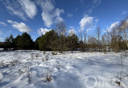 Sprzedaż | działka | 5999 m2 | nowiny| gm. leoncin