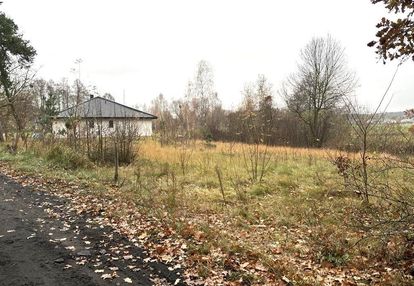 Silno 10 km od torunia, działki uzbrojone