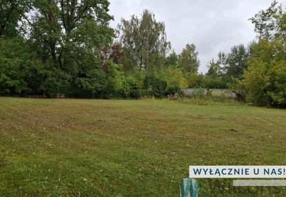 Działka w pięknej okolicy - złotokłos!