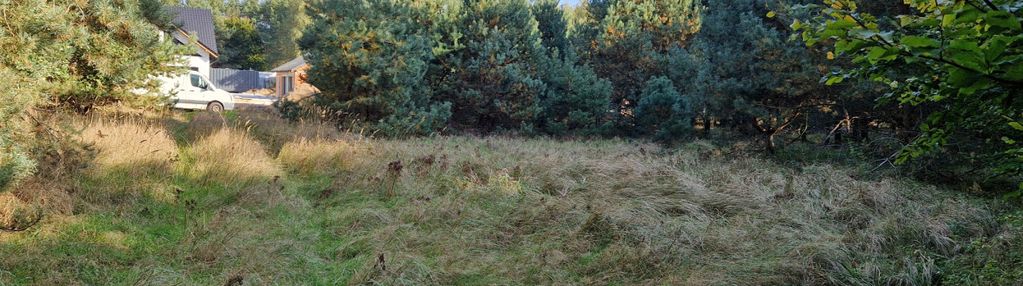 Działka budowlana z własnym lasem