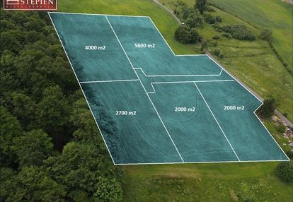 Malownicza działka pośród pól i lasu