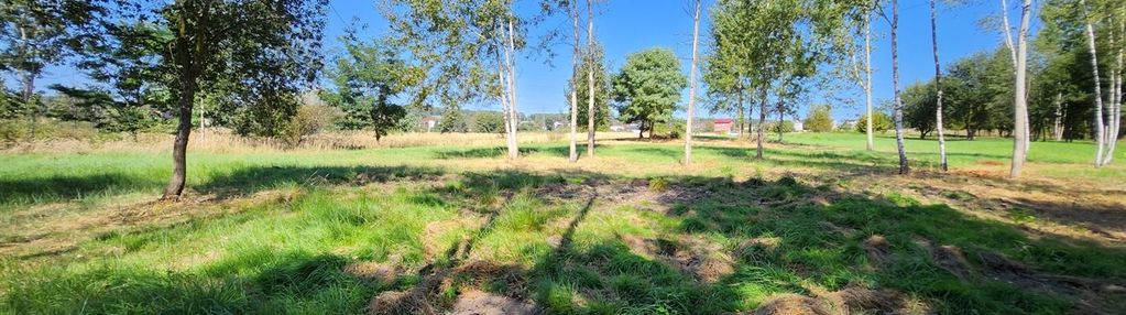 Piękna działka, mysłowice stara wesoła