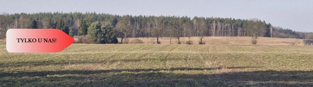 Tylko u nas  piękna i cicha działka