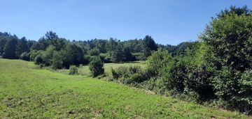 Działki pod lasem makowa gmina fredropol