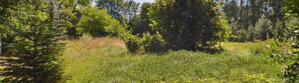 Ostatnia działka na sprzedaż w lenarcicach