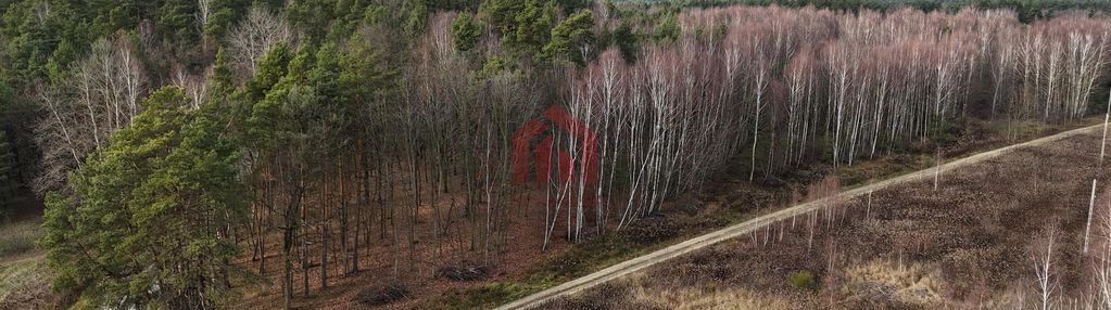 Działki budowlane przy lesie - czarna sędziszowska