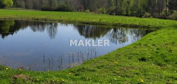 Działka ze stawem-paliwodzizna