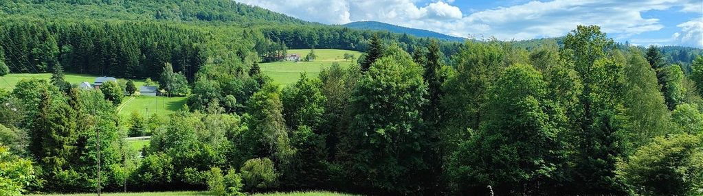 Działka mnu- 4674 m², widok beskid, lachowice