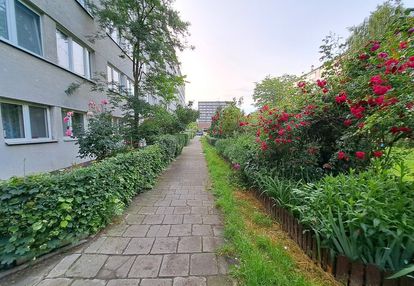 -świeżo po remoncie-2pok-33m2-med.miejskie-parter-