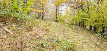 Działka rolna 393 m² w oczkowie – blisko jeziora