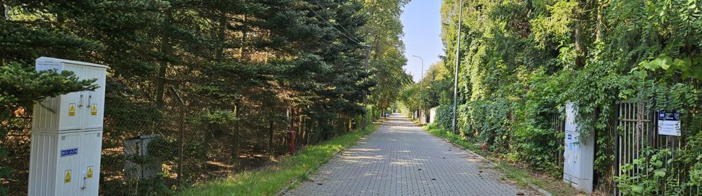 Unikatowa dzialka i lokalizacja- starodrzew,