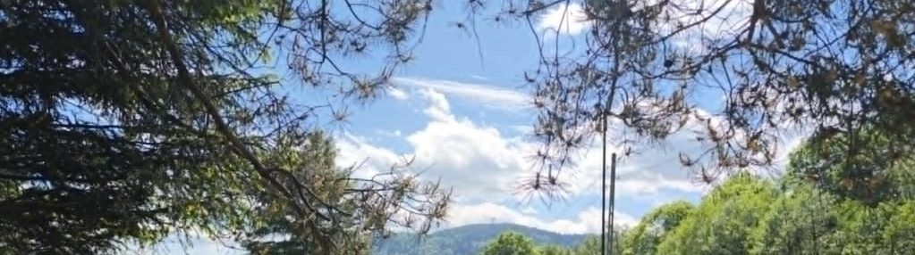 Widok na dzikowiec, działka z pełnym uzbrojeniem