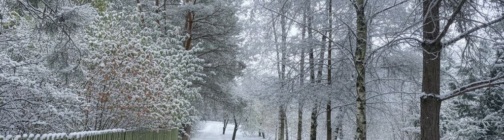 /sad rzeka las/działka w 1h do warszawy/