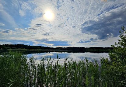 Działka z linią brzegową. wojnicz. małopolska.