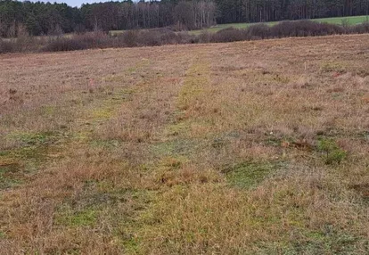 Działka na sprzedaż 1000m2