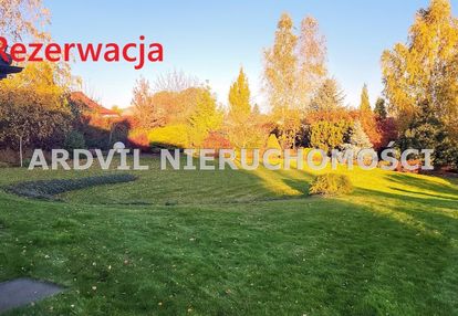 Uzbrojona grabówka ładna