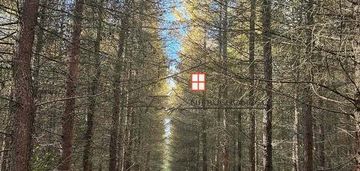 Na sprzedaż wyjątkowy kompleks leśny 15,43 h (las)