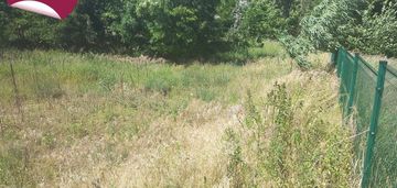 Działka w czerniewicach