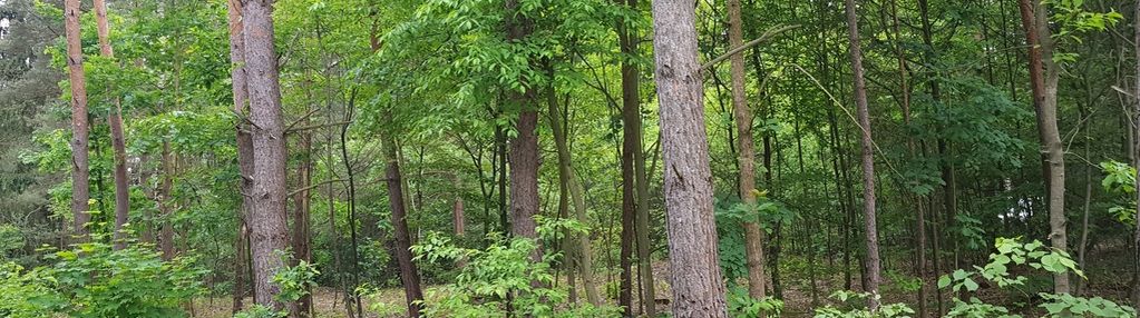 ⭐⭐⭐⭐⭐ działka w okolicy hotelu afrodyta ⭐⭐⭐⭐⭐