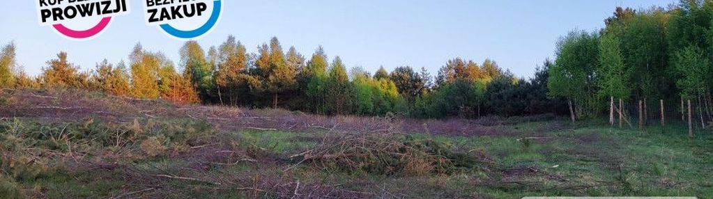 Dziaka w doskonałej lokalizacji.