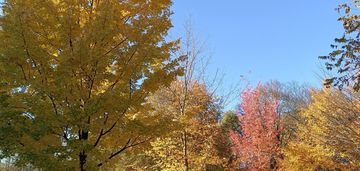 0 % prowizji, bez pcc, ostatnie 2 pok w tej cenie