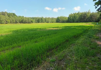 Działka na sprzedaż 2200m2