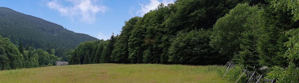 Działka mn/ut 13.890 m2 przy jaskini niedźwiedziej