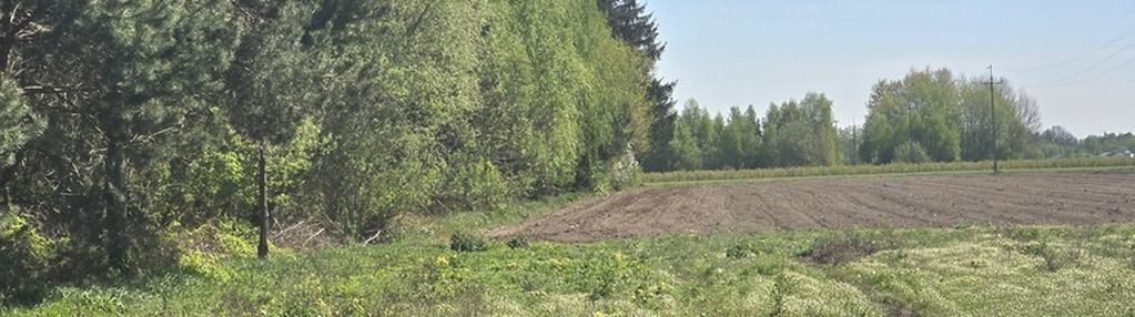 Działka przy lesie klimonty