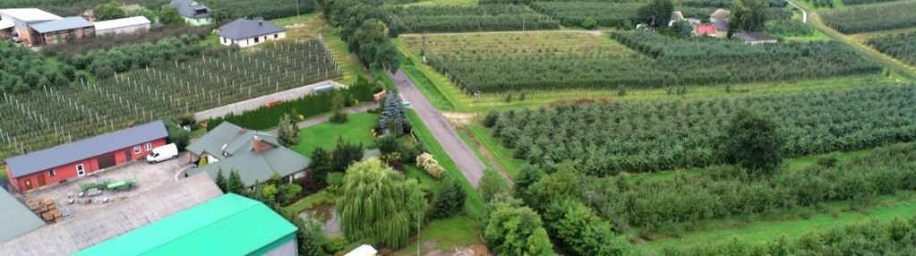 Działki rolno-budowlane w dańkowie/ biała rawska