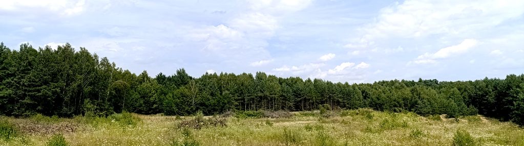 15ha, pod inwestycje, złoża, tor motocrossowy