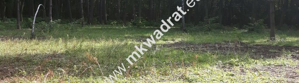Ojrzanów - urocza działka w otulinie lasu