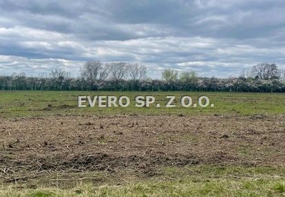 Cesarzowice działka budowlana