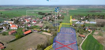 Cisza i przestrzeń – słonecznik, gmina morąg